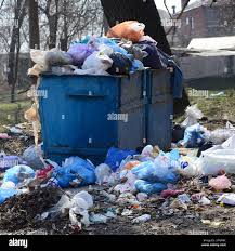 Trusted Roseland, NJ Junk Removal Services Experts