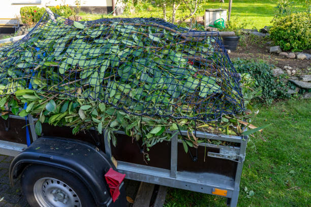 Best Dumpster Rental Services  in Roseland, NJ